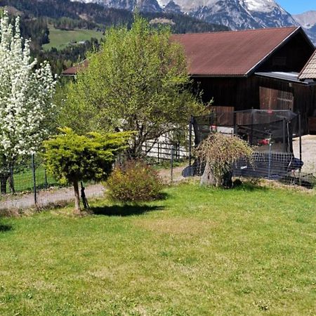 Appartement Winteraugut Werfen Exterior photo